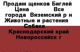 Продам щенков Биглей › Цена ­ 15 000 - Все города, Вяземский р-н Животные и растения » Собаки   . Краснодарский край,Новороссийск г.